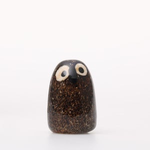 Birds Little Barn Owl ブラウン 0314