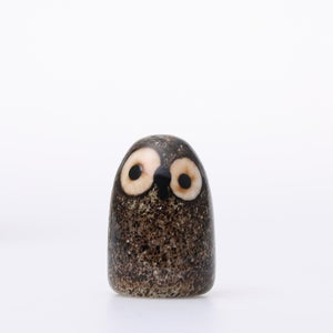 Birds Little Barn Owl ブラウン 0383