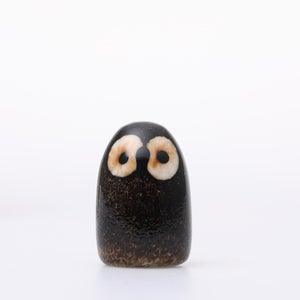 Birds Little Barn Owl ブラウン 0386