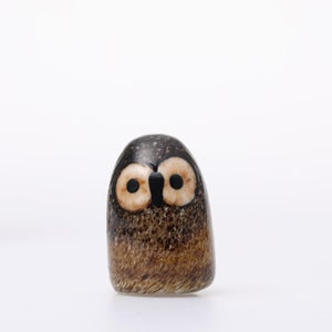 Birds Little Barn Owl ブラウン 0391