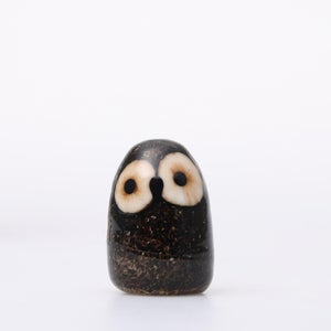 Birds Little Barn Owl ブラウン 0393