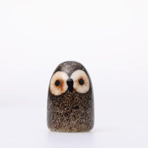 Birds Little Barn Owl ブラウン 0395