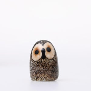 Birds Little Barn Owl ブラウン 0400