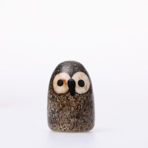Birds Little Barn Owl ブラウン 0401