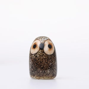 Birds Little Barn Owl ブラウン 0402