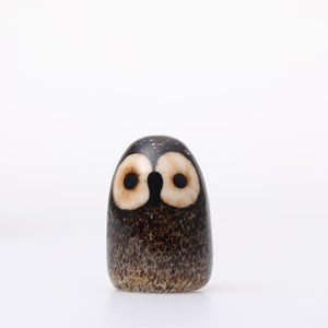 Birds Little Barn Owl ブラウン 0403