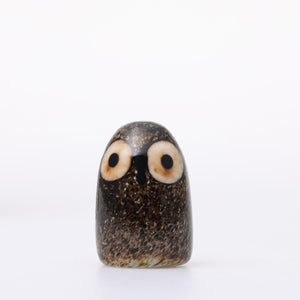 Birds Little Barn Owl ブラウン 0407