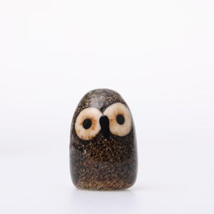 Birds Little Barn Owl ブラウン 0409