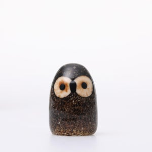 Birds Little Barn Owl ブラウン 0410