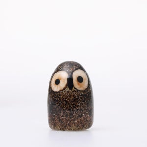 Birds Little Barn Owl ブラウン 0411