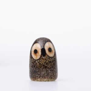 Birds Little Barn Owl ブラウン 0412