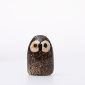 Birds Little Barn Owl ブラウン 0413