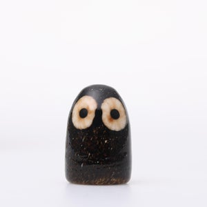 Birds Little Barn Owl ブラウン 0414