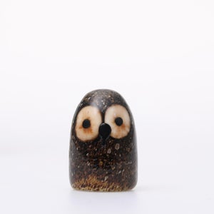 Birds Little Barn Owl ブラウン 0416