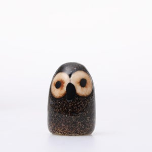 Birds Little Barn Owl ブラウン 0417