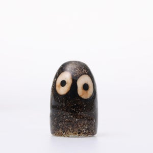 Birds Little Barn Owl ブラウン 0420