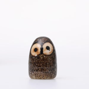 Birds Little Barn Owl ブラウン 0423