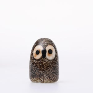 Birds Little Barn Owl ブラウン 0424