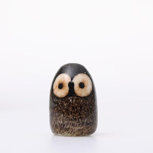 Birds Little Barn Owl ブラウン 0426