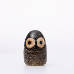 Birds Little Barn Owl ブラウン 0427