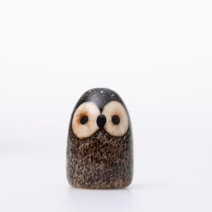 Birds Little Barn Owl ブラウン 0429