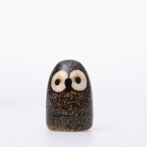 Birds Little Barn Owl ブラウン 0430