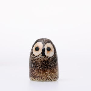 Birds Little Barn Owl ブラウン 0433