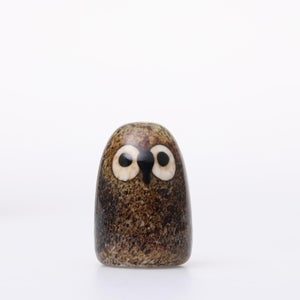 Birds Little Barn Owl ブラウン 0435