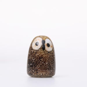 Birds Little Barn Owl ブラウン 0438