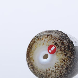 Birds Little Barn Owl ブラウン 0372