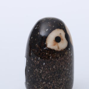 Birds Little Barn Owl ブラウン 0389