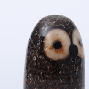 Birds Little Barn Owl ブラウン 0416