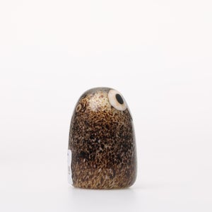 Birds Little Barn Owl ブラウン 0233