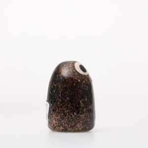 Birds Little Barn Owl ブラウン 0305