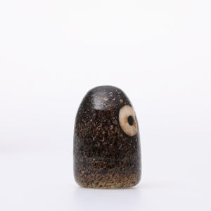 Birds Little Barn Owl ブラウン 0370