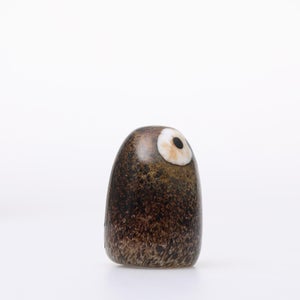 Birds Little Barn Owl ブラウン 0373