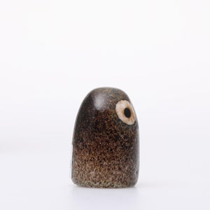 Birds Little Barn Owl ブラウン 0374