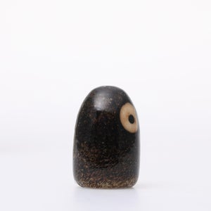 Birds Little Barn Owl ブラウン 0376