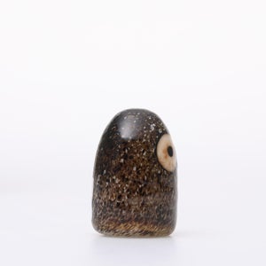 Birds Little Barn Owl ブラウン 0378