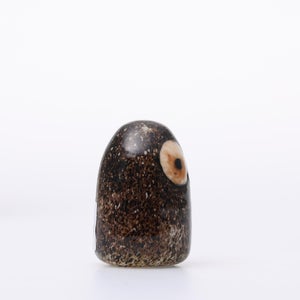 Birds Little Barn Owl ブラウン 0381