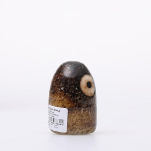 Birds Little Barn Owl ブラウン 0391