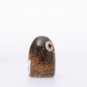 Birds Little Barn Owl ブラウン 0397