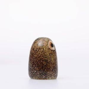 Birds Little Barn Owl ブラウン 0398