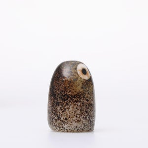 Birds Little Barn Owl ブラウン 0399