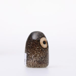 Birds Little Barn Owl ブラウン 0401