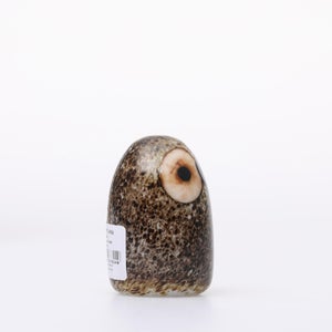 Birds Little Barn Owl ブラウン 0402