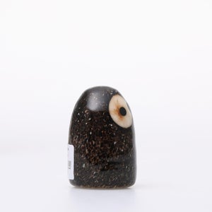 Birds Little Barn Owl ブラウン 0404