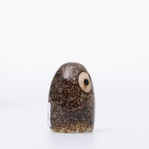 Birds Little Barn Owl ブラウン 0405