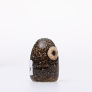 Birds Little Barn Owl ブラウン 0409