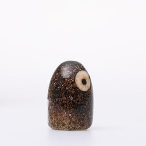 Birds Little Barn Owl ブラウン 0411